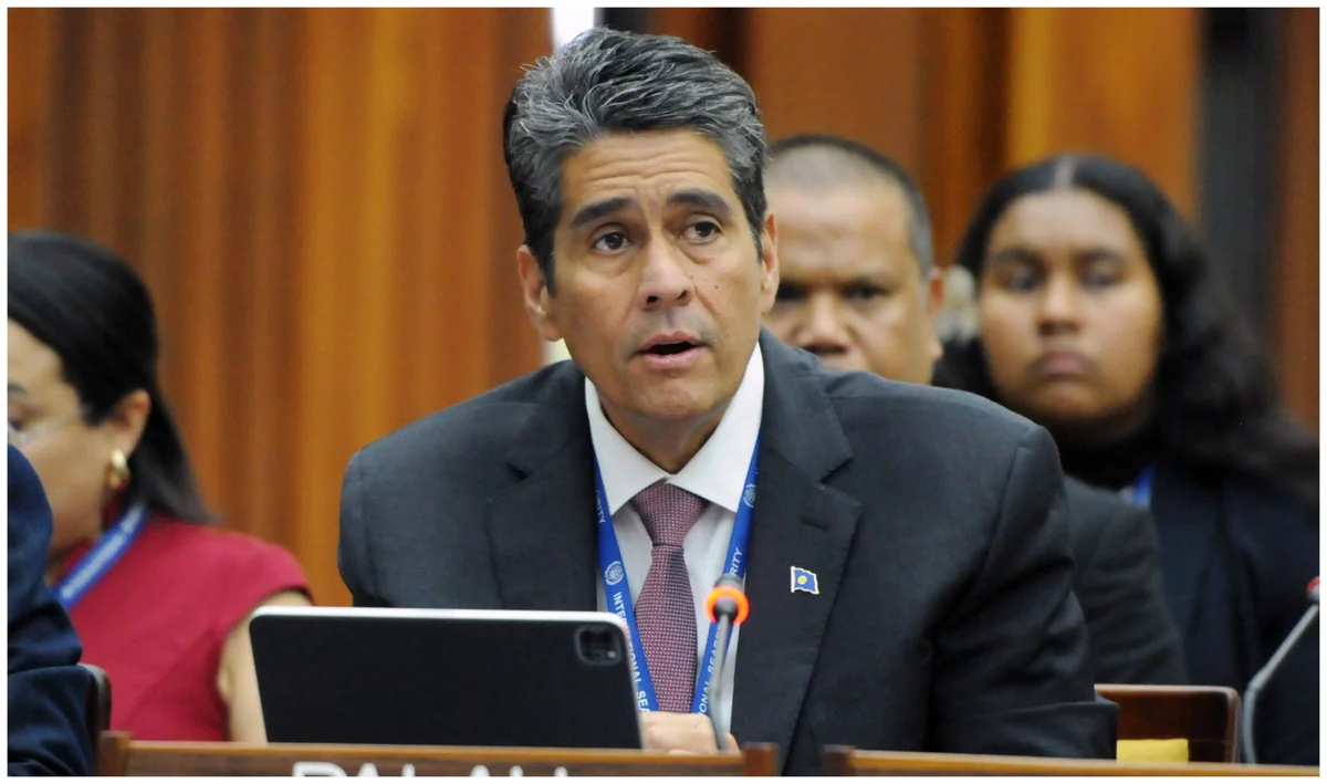 Palau president: NCQG should be shared commitment to address climate crisis justly