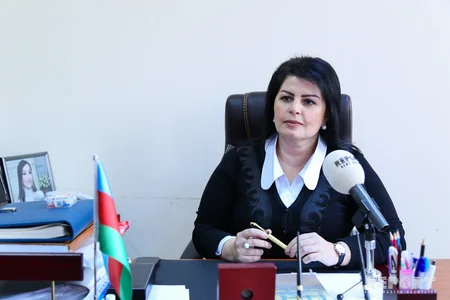 AMEA-nın Nəsimi adına Dilçilik İnstitutunda saytların dil mənzərəsinə həsr olunan mətbuat konfransı keçirilib