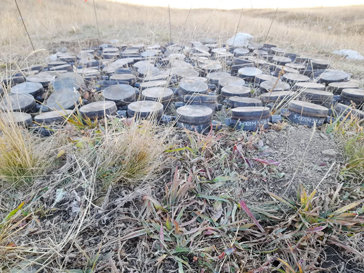 230 mines discovered in Azerbaijan's Kalbajar, Dashkasan districts