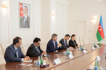 Azərbaycan FAO ilə azad edilmiş ərazilərdə kənd təsərrüfatının inkişaf etdirilməsini müzakirə edib