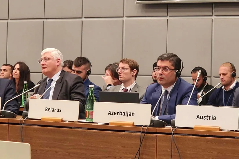 Азербайджан представлен на дополнительной встрече по человеческому измерению ОБСЕ