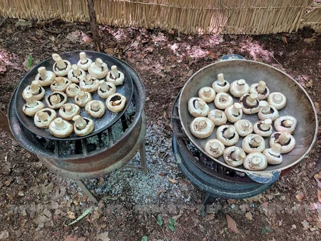 Bu Mərkəzdə saxlanılan ayının gözləri görmür... - REPORTAJ