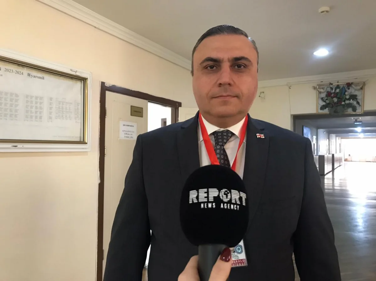 GUAM-dan olan müşahidəçi: “Azərbaycanda seçki prosesi ən yüksək səviyyədə təşkil olunub”
