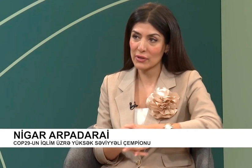 Nigar Arpadarai: İqlim dəyişikliyi ilə mübarizə hər kəsi əhatə etməlidir