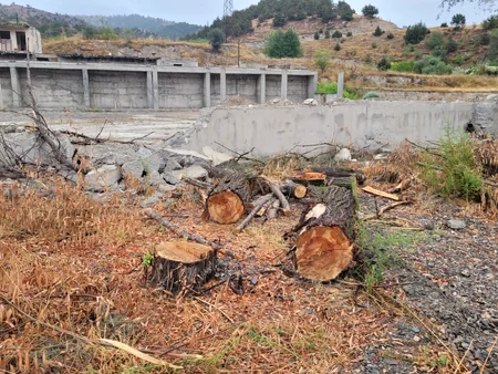 Deputy Minister: Fires committed by Armenians cause serious damage to regional ecosystem