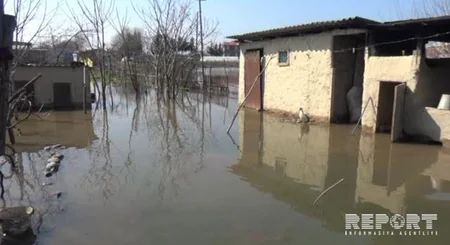 Cəlilabadda qrunt suları problemlər yaradıb - FOTO