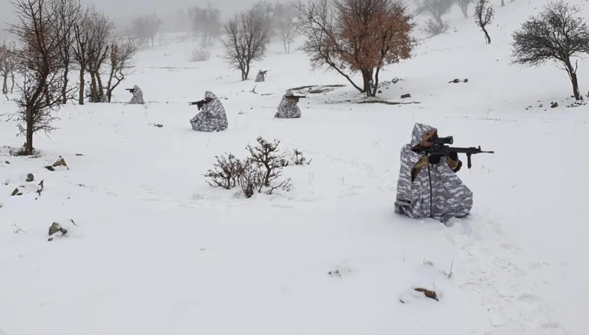 Türkiyə terrorçulara qarşı genişmiqyaslı əməliyyata başladı