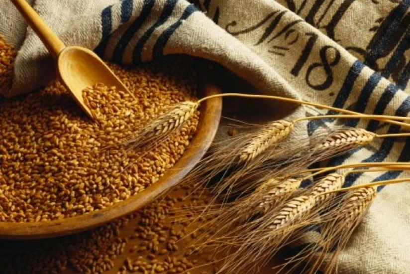 Azərbaycan arpa ixracına başlayıb