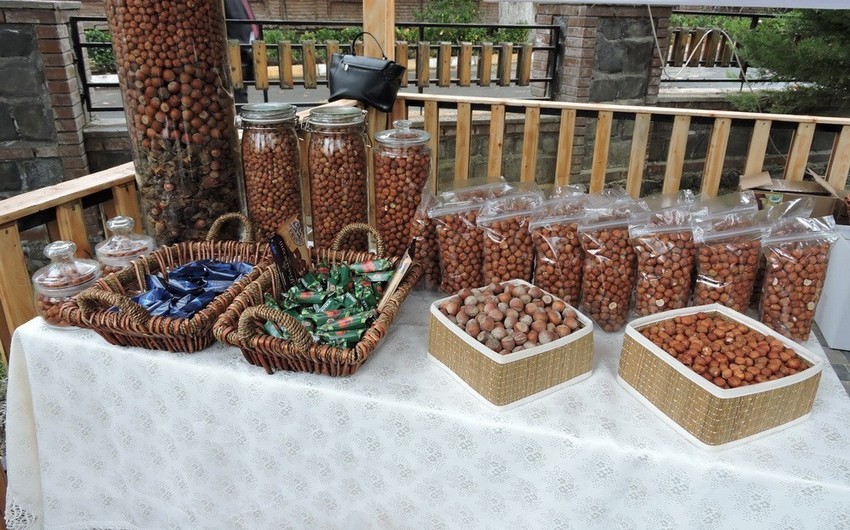 Zaqatalada qərzəkli meyvələrlə bağlı festival keçiriləcək