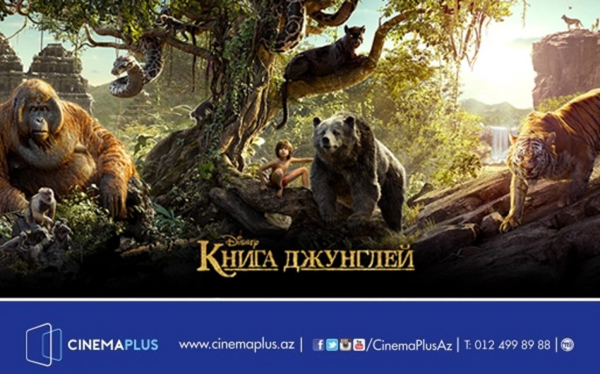CinemaPlusda Cəngəllik kitabı nağılı başlayır - VİDEO