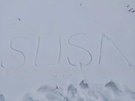 Qarabağın incisi Şuşaya növbəti səfərdən - FOTOREPORTAJ