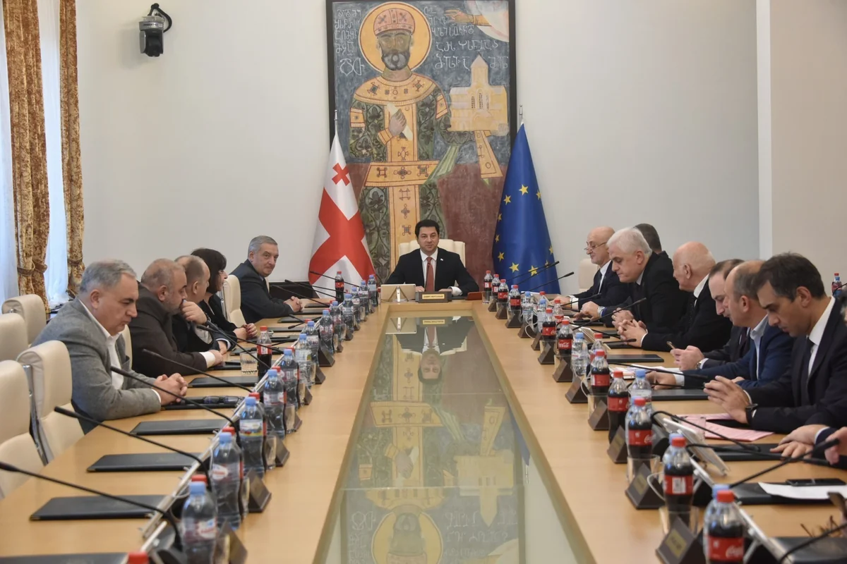 Gürcüstan parlamentinin sədri parlament müxalifətinə müraciət edib