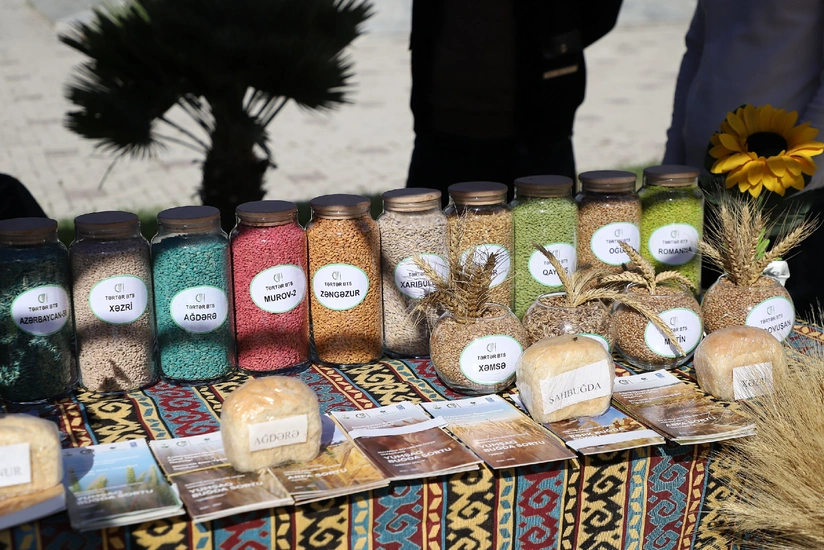 Beyləqanda toxum sərgi-satış yarmarkası keçirilib