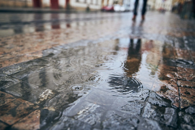 Rain predicted tomorrow