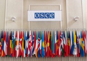 OSCE Parliamentary Assembly supports signing of declaration between Baku and Yerevan