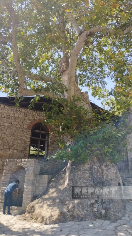 Ukraynalı uşaqların Basqala səfəri təşkil edilib