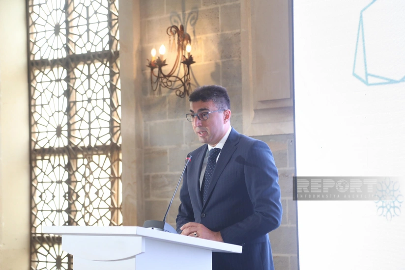 Şahin Seyidzadə: Azərbaycanda arxeoloji axtarışların aparılması vacibdir