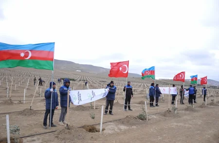 111,111 tries to be planted on November 11