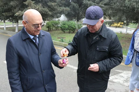 Yel çərşənbəsində Ahıllar evinin sakinləri ilə birgə ağac əkilib