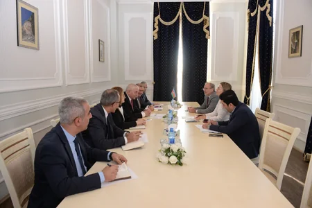 Central Election Commission chief informs OSCE mission on preparations for early presidential elections in Azerbaijan