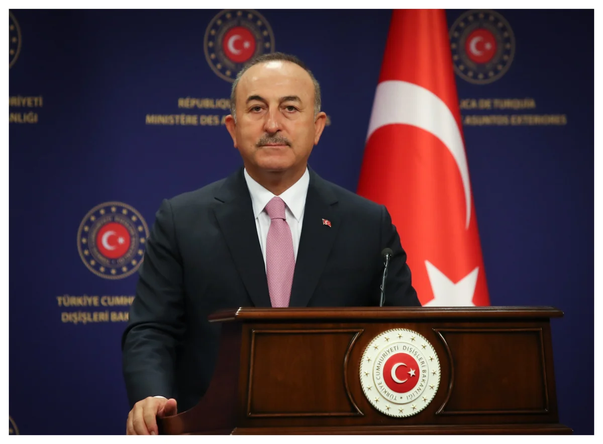 Чавушоглу: Азербайджан способен сам освободить свои земли