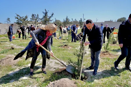 Heydər Əliyevin 100 illik yubileyi ilə bağlı Qala Qoruğunda ağacəkmə aksiyası keçirilib