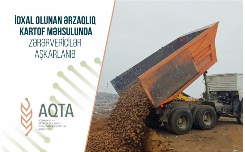 Belarusdan Azərbaycana gətirilən kartofda zərərvericilər aşkarlanıb