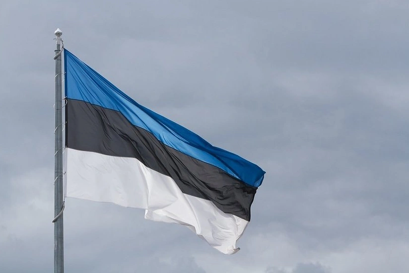 Эстония введет запрет на ввоз санкционных товаров из РФ частными лицами