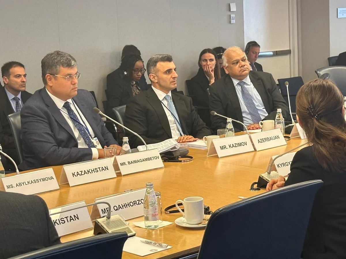 Azerbaijan, IMF mull improving financial stability