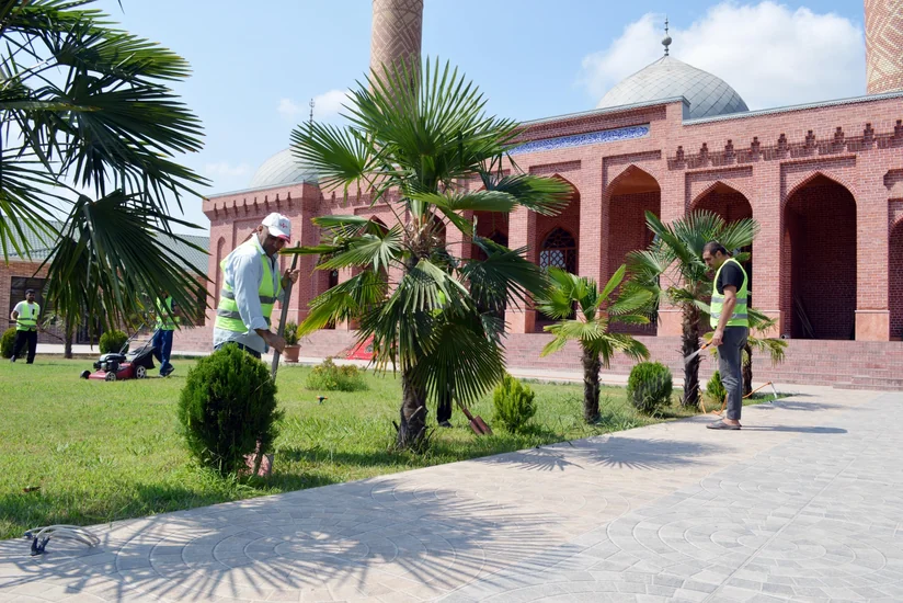 “Yaşıl gələcək naminə” adlı yaşıllaşdırma aksiyası davam etdirilir