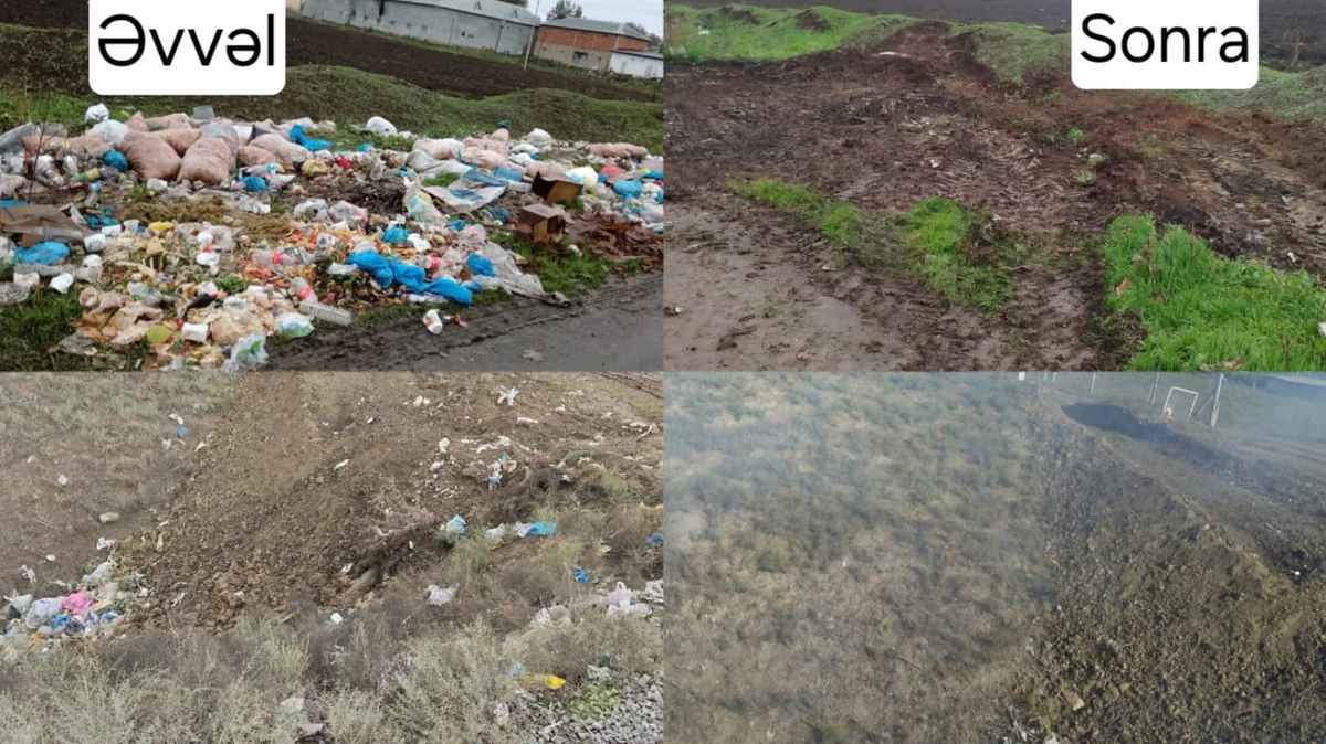 Cəlilabadda ətraf mühiti zibilləyən şəxslər inzibati məsuliyyətə cəlb olunublar
