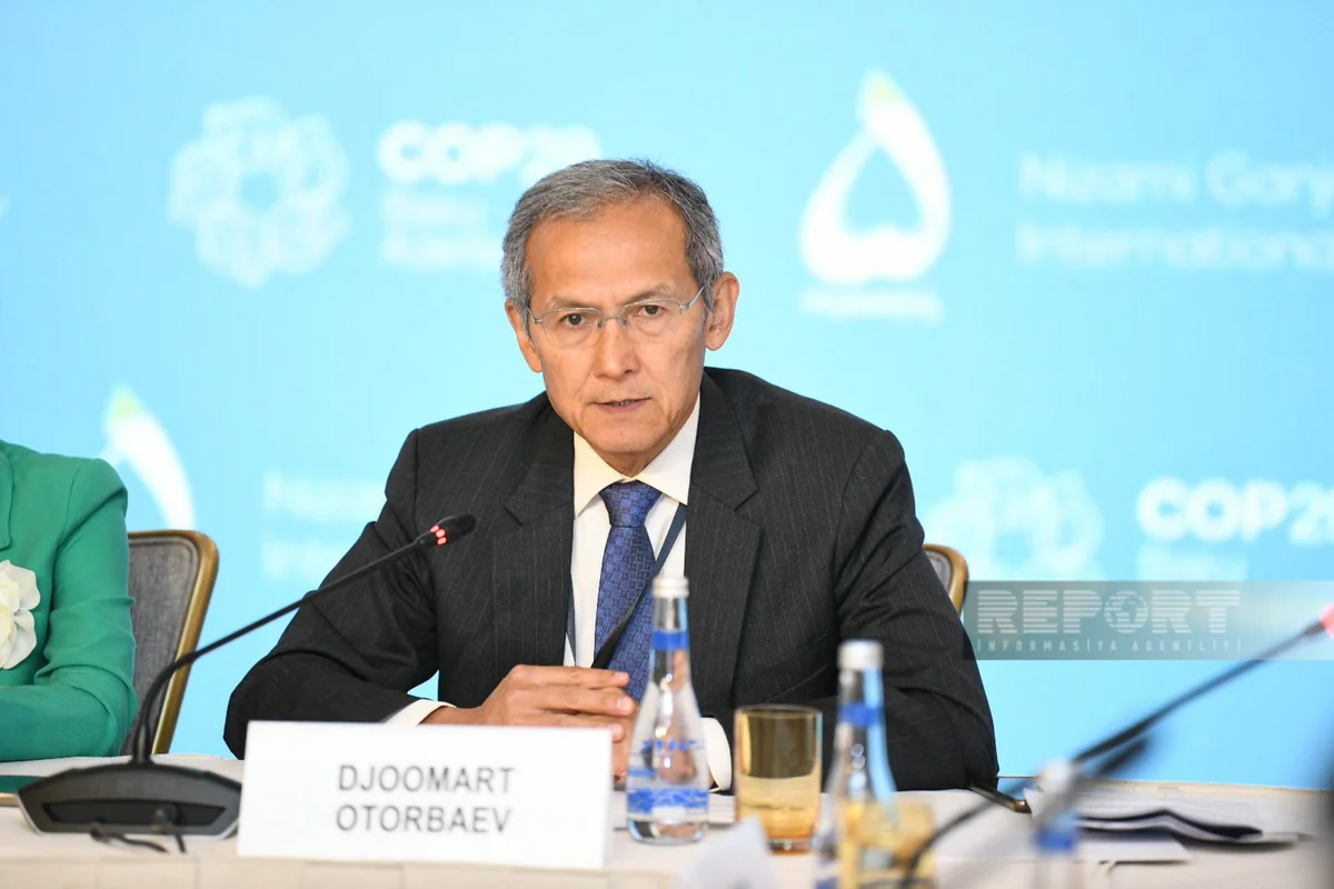 Kyrgyzstan's ex-PM: Cooperation with developed nations key to COP29 success