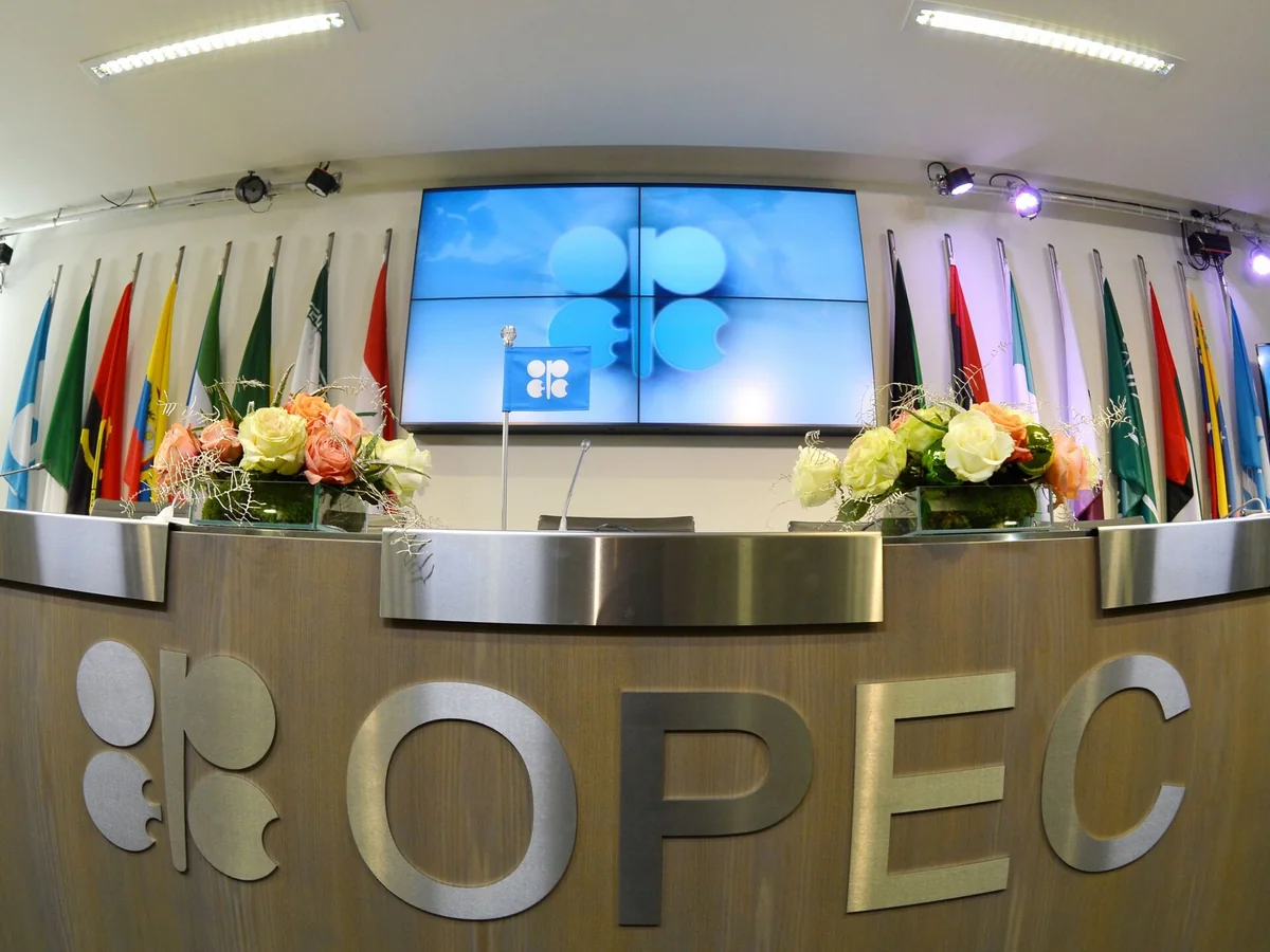OPEC+ to consider whether more oil cuts needed