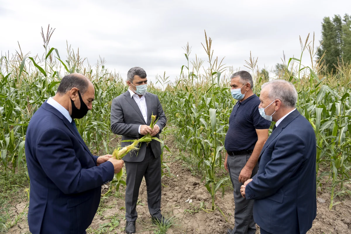 Güzəşt tətbiq edilən kənd təsərrüfatı avadanlıqlarının siyahısı genişləndi