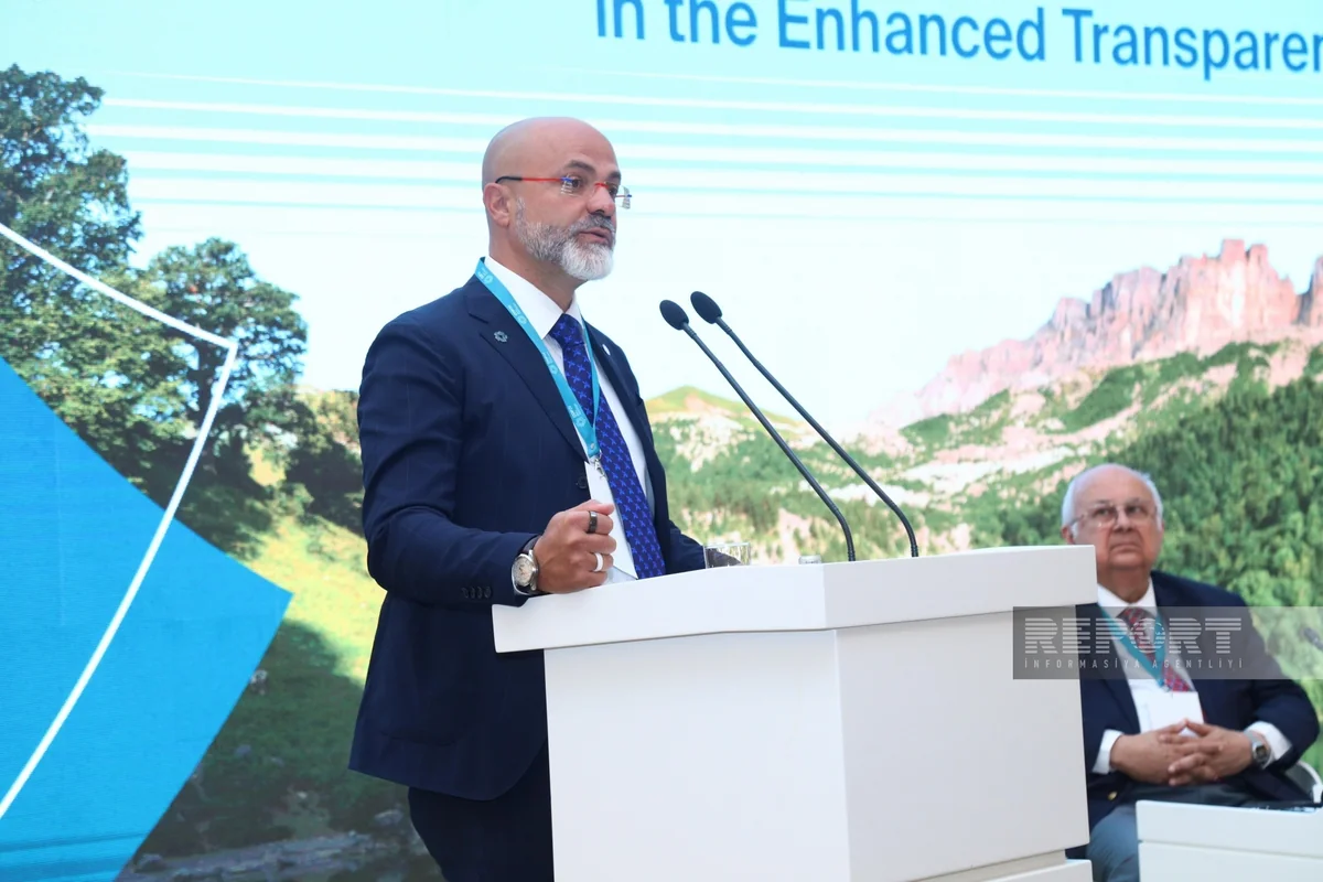 İtaliyalı professor: İqlim dəyişikliyi ilə tək bir ölkə mübarizə apara bilməz