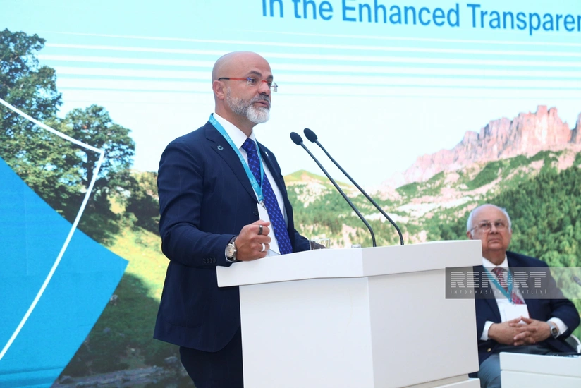 İtaliyalı professor: İqlim dəyişikliyi ilə tək bir ölkə mübarizə apara bilməz