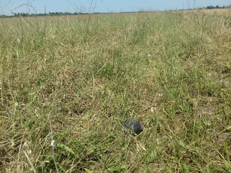 ​Tərtər və Füzulidə 4 ədəd partlamamış hərbi sursat aşkar edilib