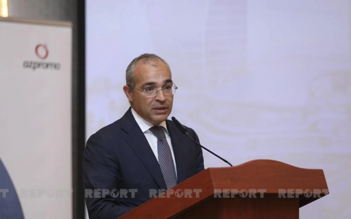 Mikayil Jabbarov: Value-added in oil refining industry increases by 22% in 2021
