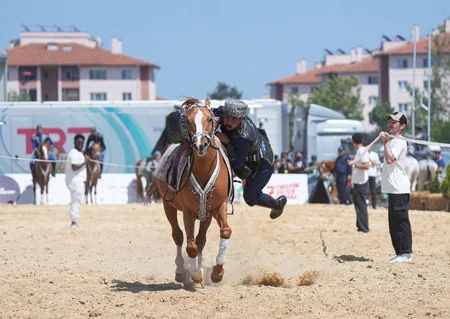 Turkish President watches performance featuring Karabakh horses