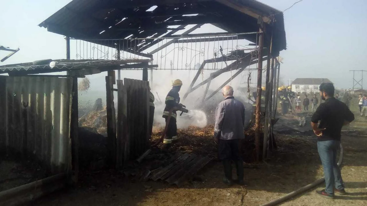 Zərdabda tövlədə  7 ton ot bağlaması yandı