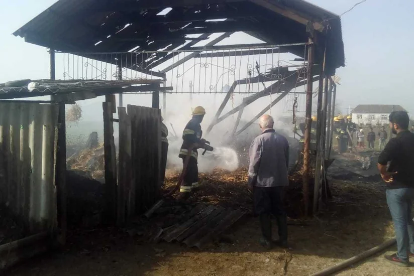 Zərdabda tövlədə  7 ton ot bağlaması yandı