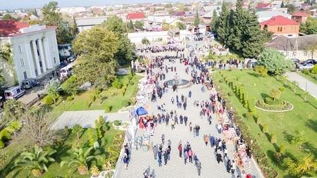 Lənkəranda III Çay, Çəltik, Sitrus Festivalı keçiriləcək - FOTO - VİDEO