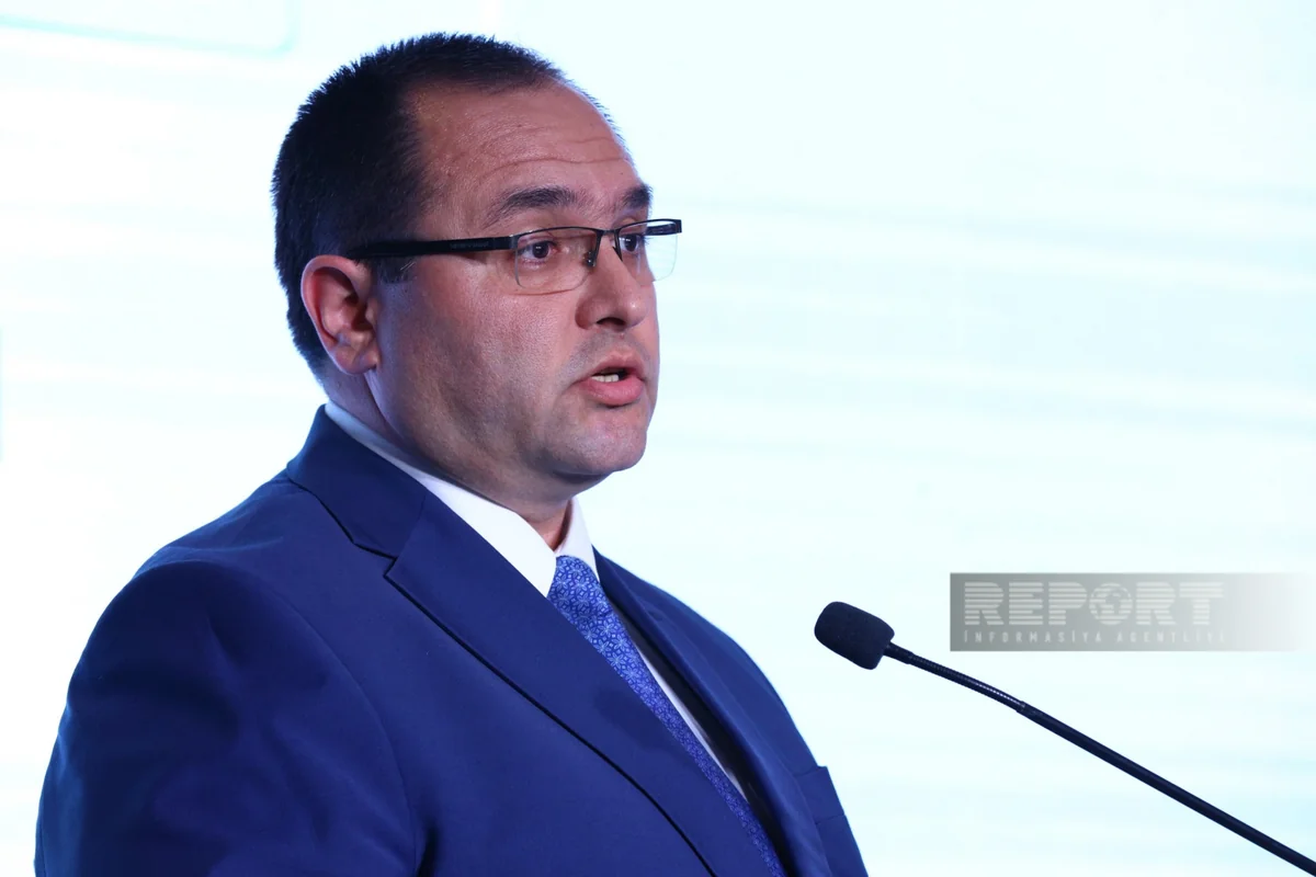 Məcnun Məmmədov: Aqrar sektorun davamlı inkişafı üçün sığorta vacib məsələlərdən biridir