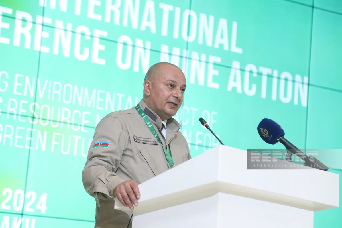 ANAMA chief calls for strengthening int'l support to address consequences of mine problem