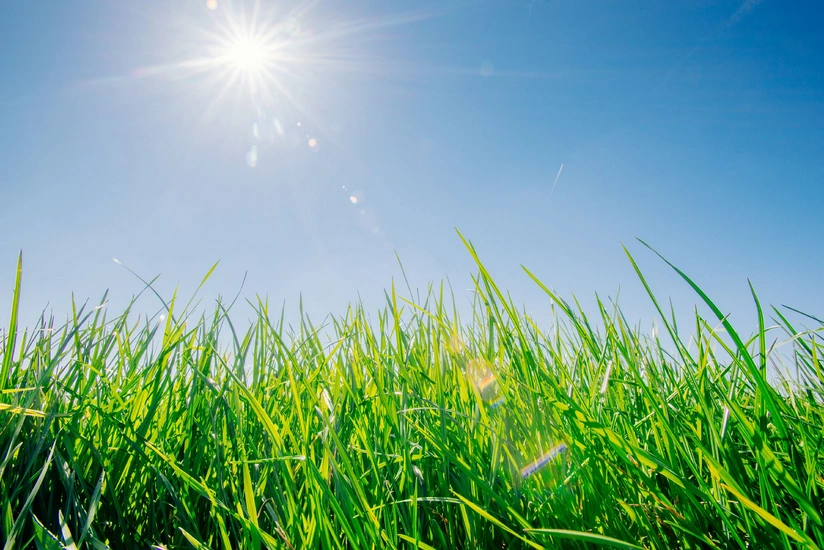 May ayında bəzi yerlərdə havanın temperaturu iqlim normasından yüksək olacaq