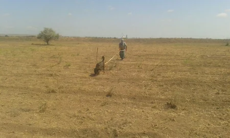 Cocuq Mərcanlı kəndində 4 ədəd piyada və tank əleyhinə mina tapılıb