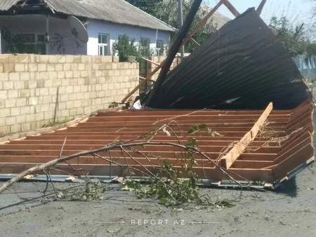Güclü külək Zaqatalada 7 kəndə ciddi ziyan vurub