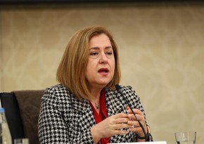 Hande Harmancı:  Bütün tibb işçiləri əllərindən gələni edirlər