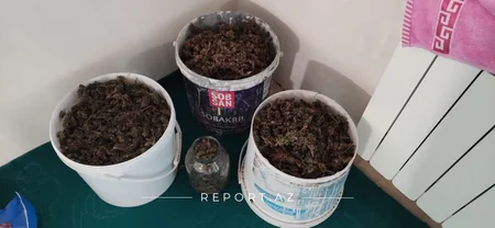 Kürdəmir sakinindən külli miqdarda narkotik götürülüb