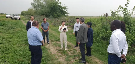 Ambassador: Germany supports Azerbaijan in its reconstruction efforts in Karabakh